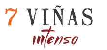 logo tierra de huarpe